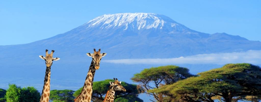 welcome Kilimanjaro by sdsafaris